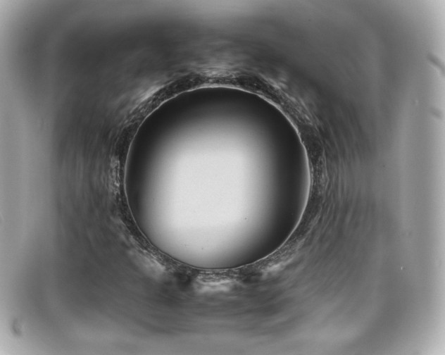 X0000099471301200805091538