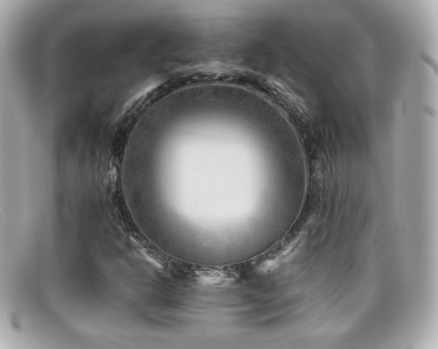 X0000099471302200805091538