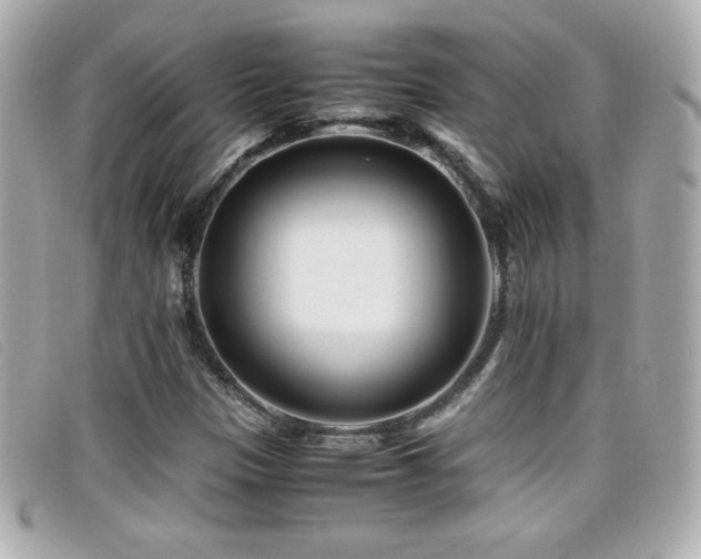 X0000099471305200805091539