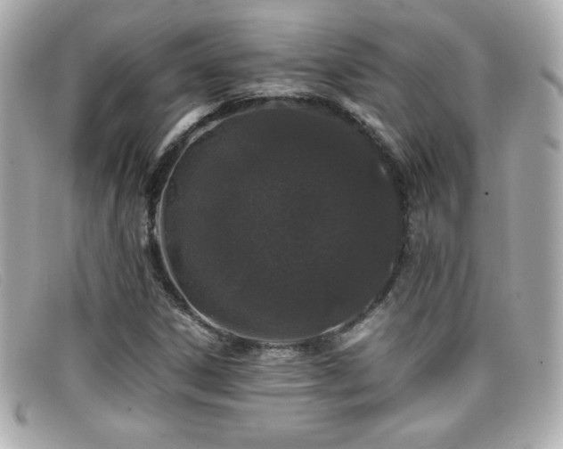 X0000099471306200805091539
