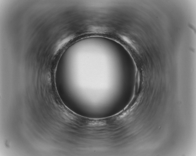 X0000099471307200805091539