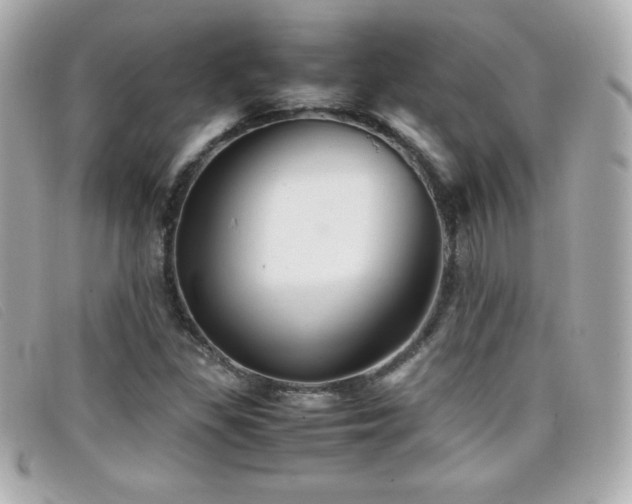 X0000099471309200805091539