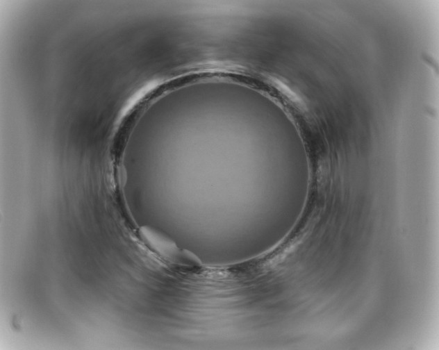 X0000099471310200805091539