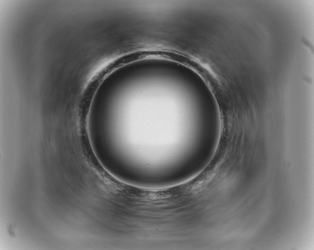 X0000099471311200805091539