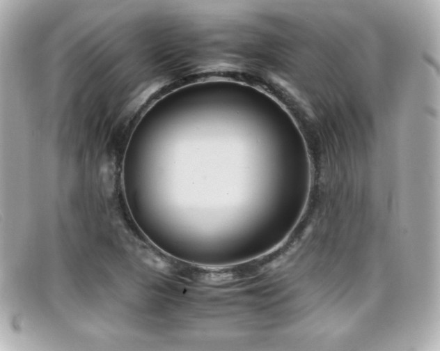 X0000099471313200805091539