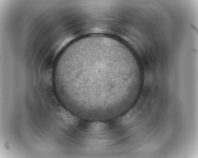 X0000099471314200805091539