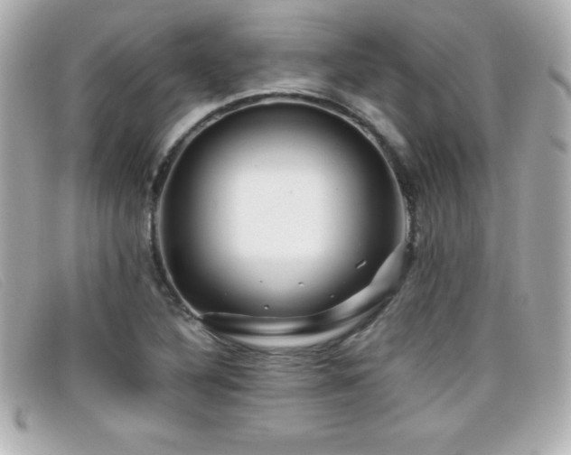 X0000099471316200805091539