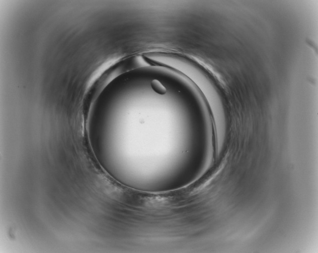 X0000099471317200805091539