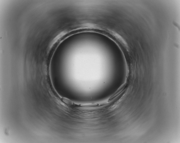 X0000099471318200805091539