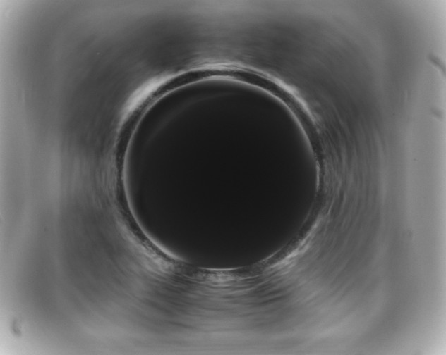 X0000099471319200805091539