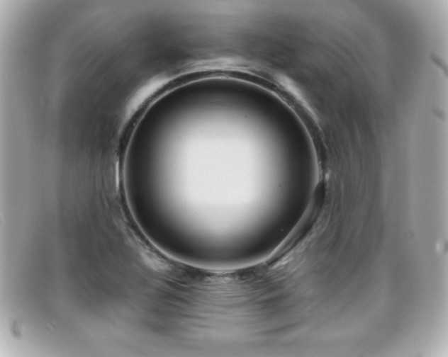 X0000099471320200805091539