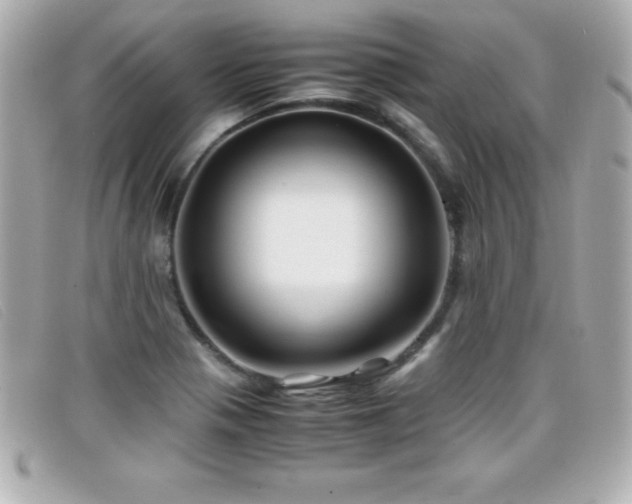 X0000099471321200805091539