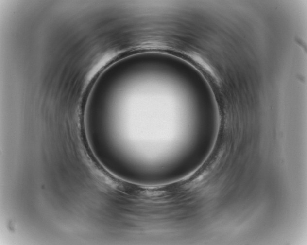 X0000099471325200805091539