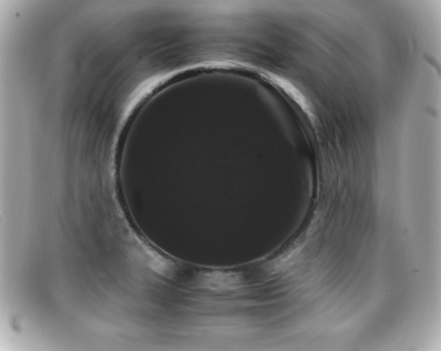 X0000099471327200805091539