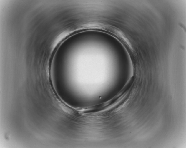 X0000099471328200805091539