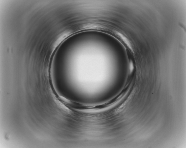 X0000099471330200805091539