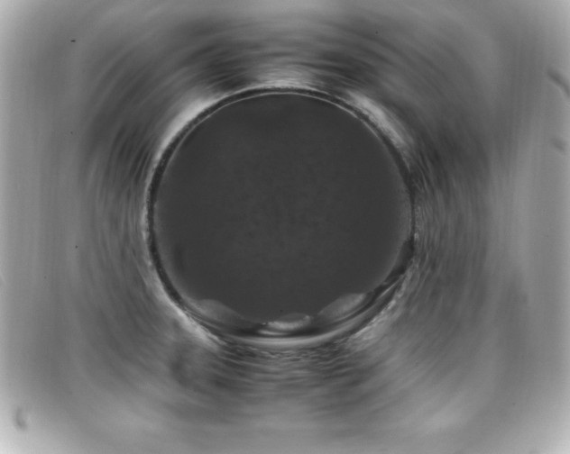 X0000099471331200805091539