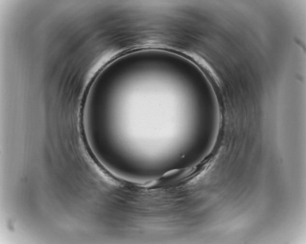 X0000099471333200805091539