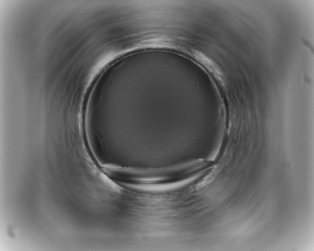 X0000099471334200805091539