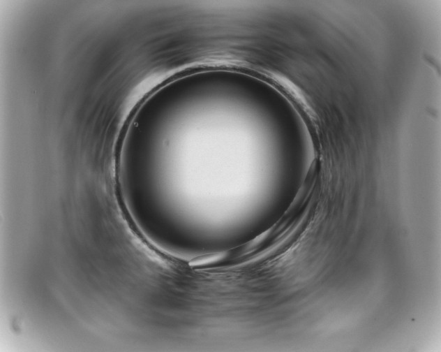 X0000099471335200805091539