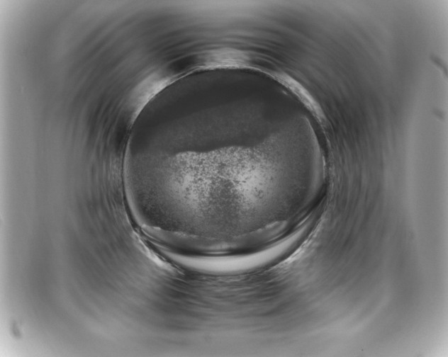 X0000099471337200805091539