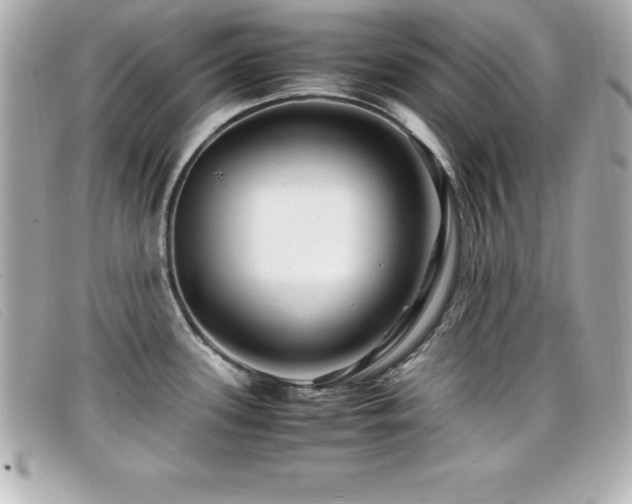 X0000099471339200805091539