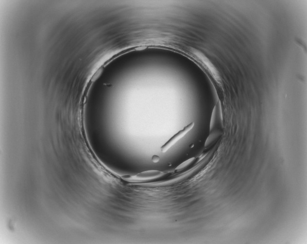 X0000099471340200805091539