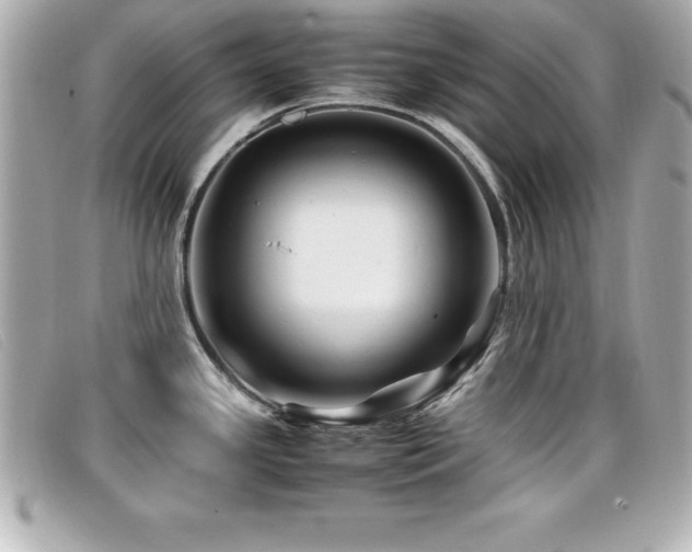 X0000099471341200805091539