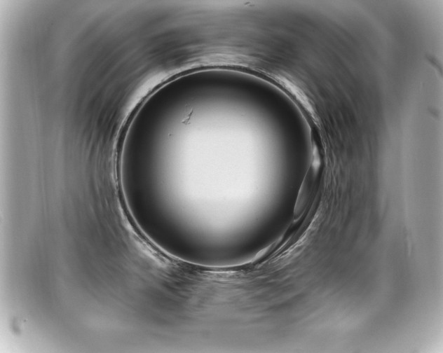 X0000099471342200805091539