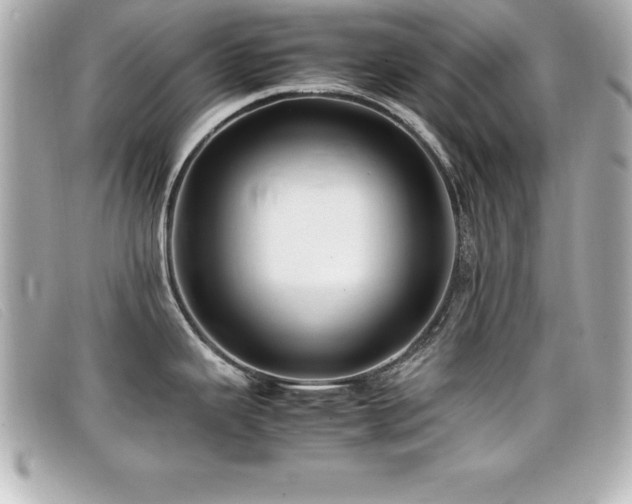 X0000099471343200805091539