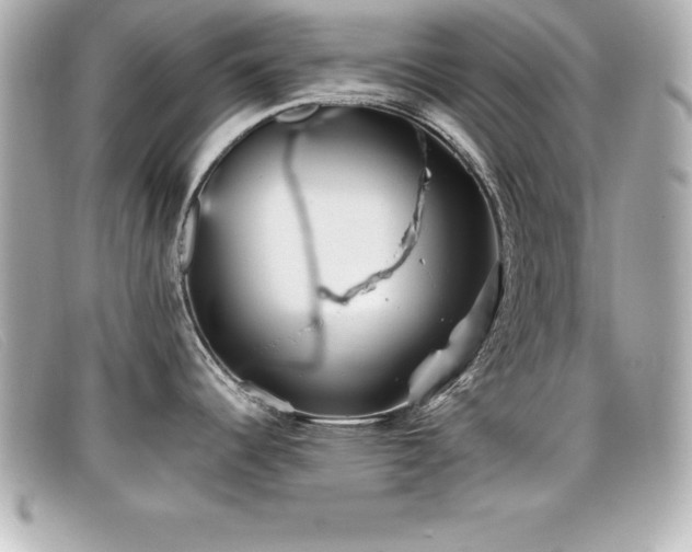 X0000099471344200805091539