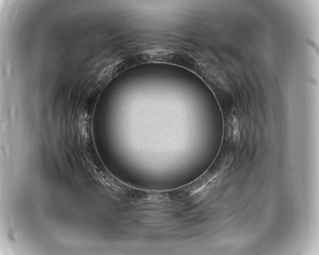 X0000099471346200805091538