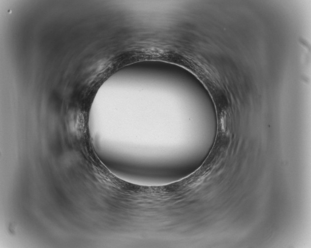X0000099471347200805091538