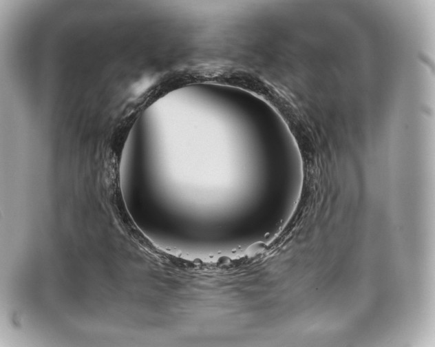 X0000099471349200805091538