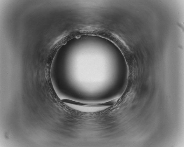X0000099471350200805091538