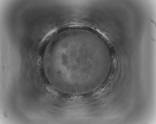 X0000099471351200805091538