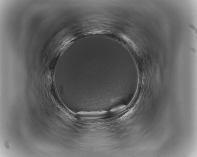 X0000099471353200805091538