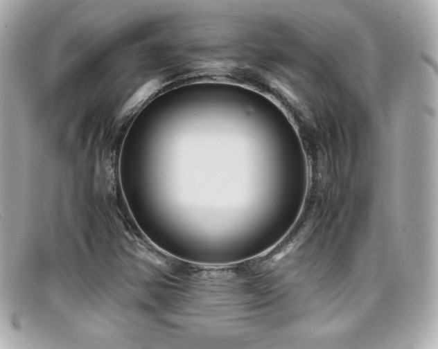 X0000099471354200805091538