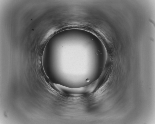 X0000099471355200805091538