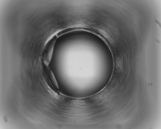 X0000099471356200805091538