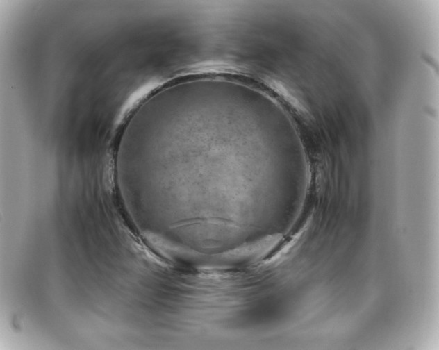 X0000099471358200805091538