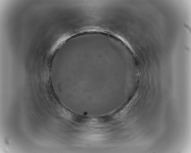 X0000099471359200805091538