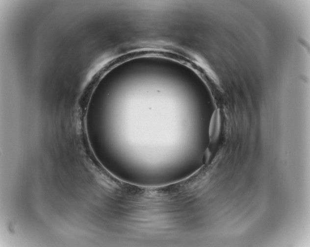 X0000099471360200805091538