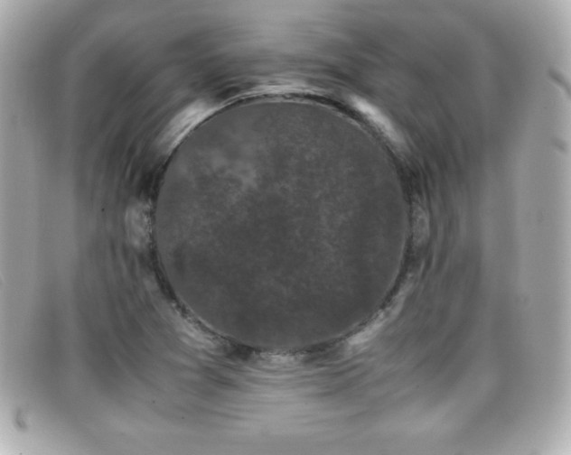 X0000099471361200805091538