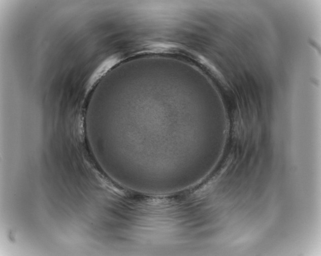 X0000099471362200805091538