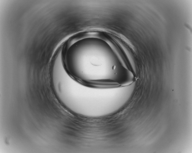 X0000099471364200805091538