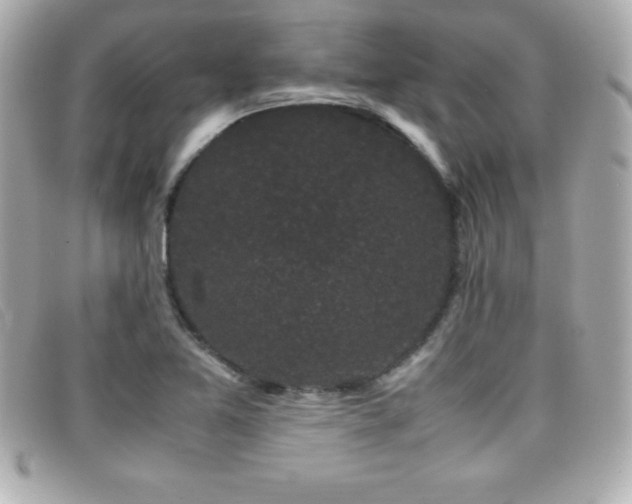X0000099471365200805091538