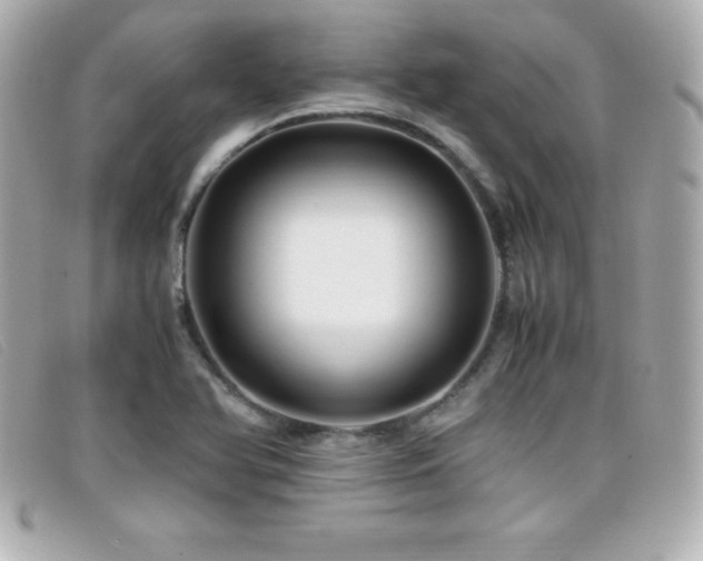 X0000099471366200805091538