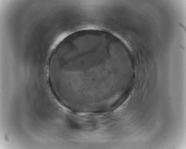 X0000099471367200805091538