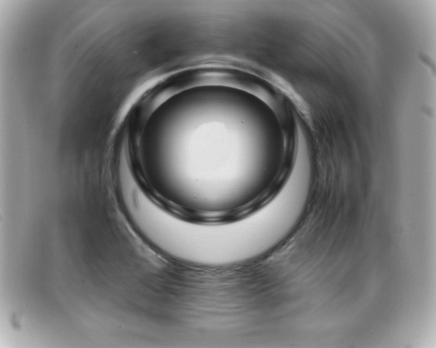 X0000099471368200805091538